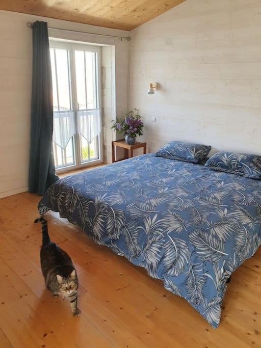 Le Chai Rit Villa Риведу-Плаж Екстериор снимка